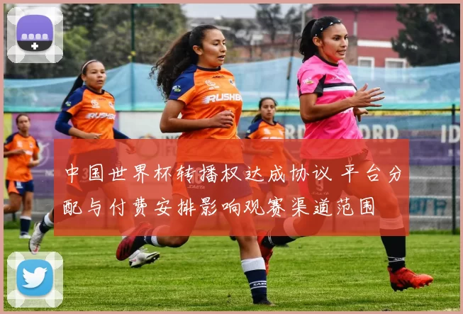 中国世界杯转播权达成协议 平台分配与付费安排影响观赛渠道范围