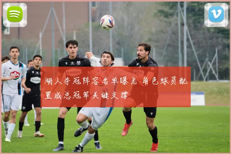 湖人夺冠阵容名单曝光 角色球员配置成总冠军关键支撑