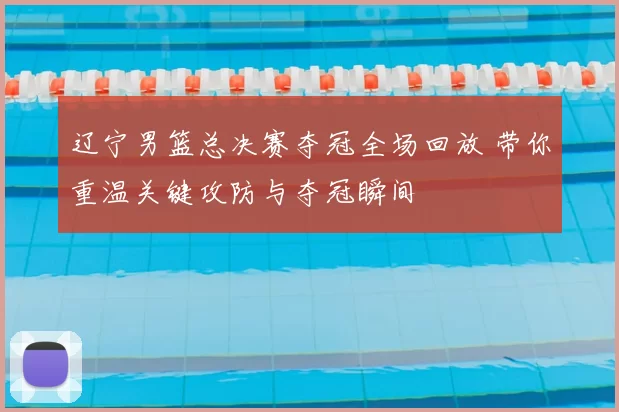 辽宁男篮总决赛夺冠全场回放 带你重温关键攻防与夺冠瞬间