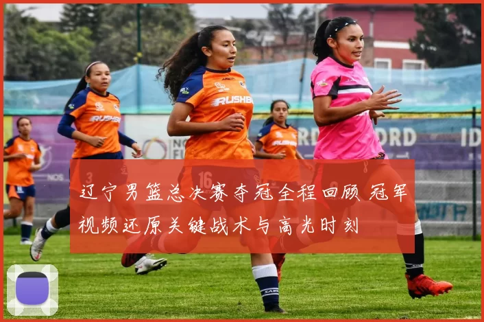 辽宁男篮总决赛夺冠全程回顾 冠军视频还原关键战术与高光时刻
